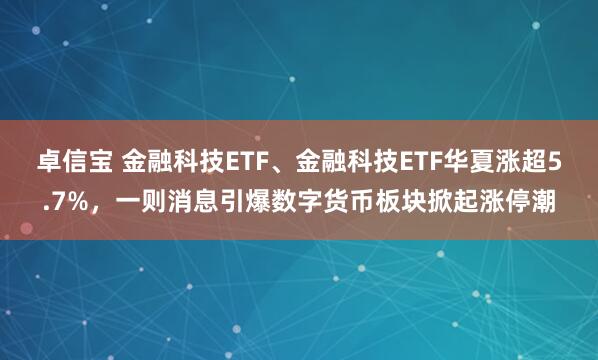 卓信宝 金融科技ETF、金融科技ETF华夏涨超5.7%，一则消息引爆数字货币板块掀起涨停潮