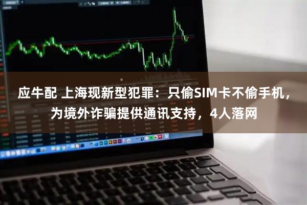 应牛配 上海现新型犯罪：只偷SIM卡不偷手机，为境外诈骗提供通讯支持，4人落网